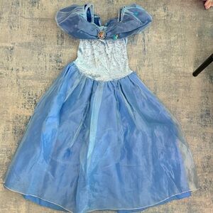 Cinderella Costume